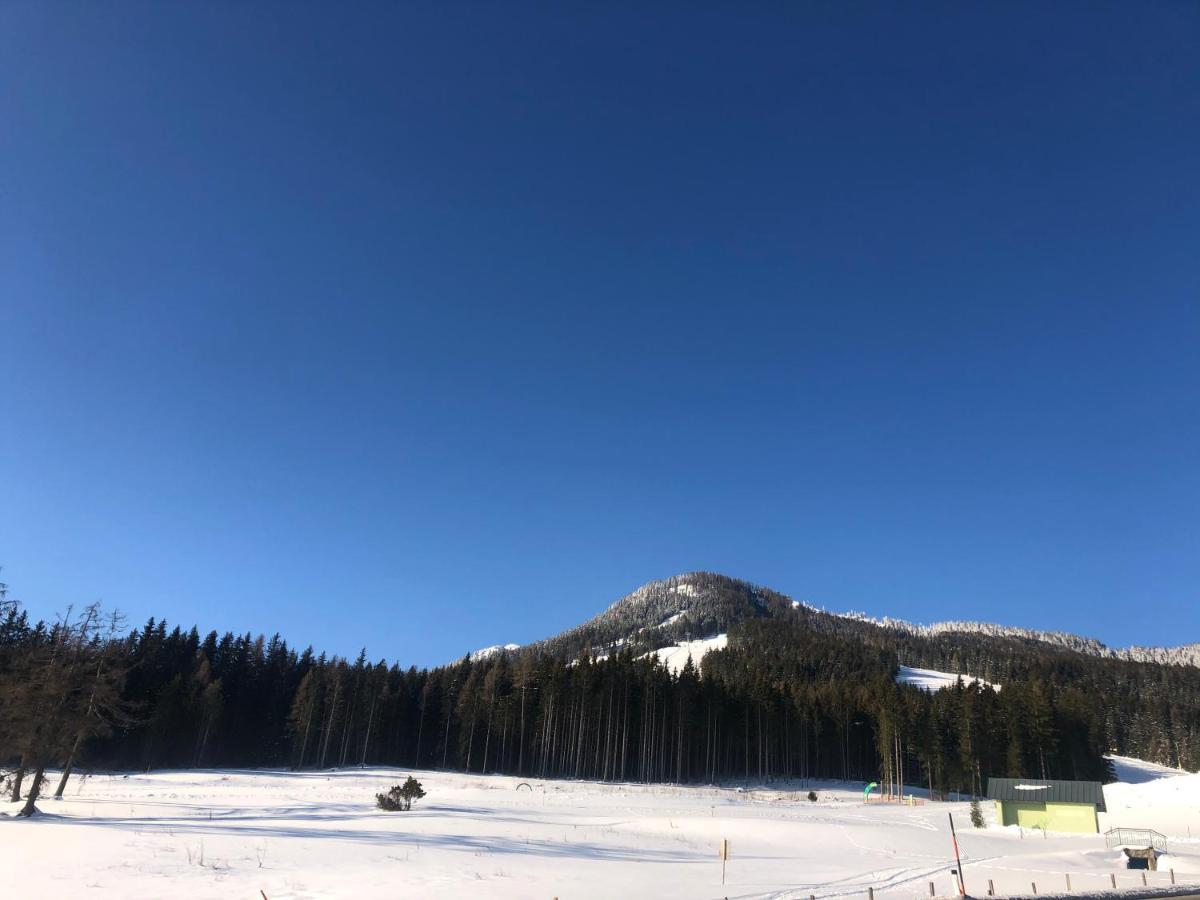 Appartement Schwab Ski In & Out Schladming Esterno foto